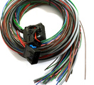 MaxxECU kabelhärvor